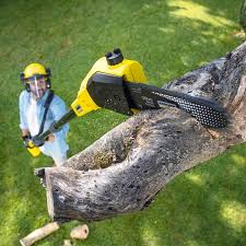 Best Lawn Mowing Services  in South Blooming Grove, NY